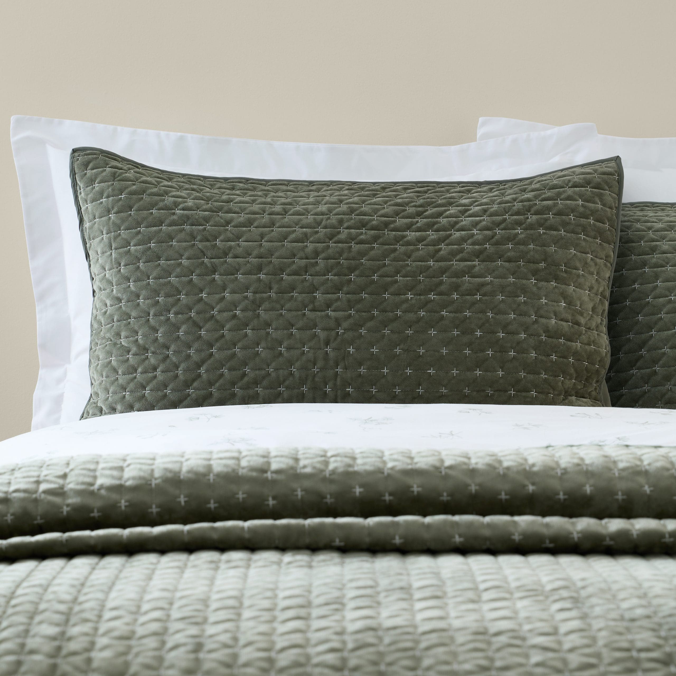 Bianca Attica Velvet Pillowsham Pair in Green